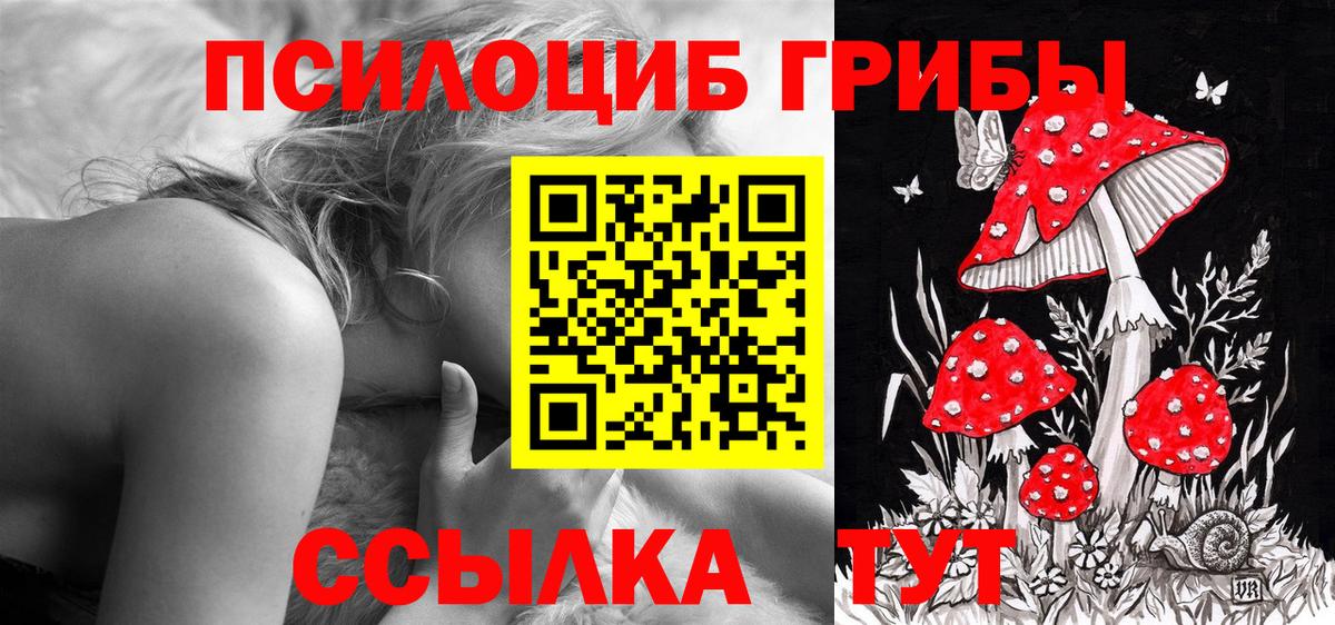 Псилоцибиновые грибы мицелий Борисоглебск